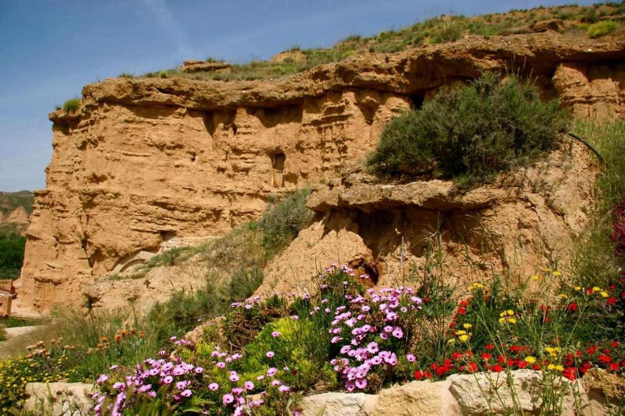 Habitat Troglodita Almagruz Purullena Dış mekan fotoğraf